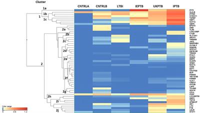 Validation of Differentially Expressed Immune Biomarkers in Latent and Active Tuberculosis by Real-Time PCR